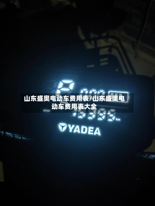 山东盛奥电动车费用表/山东盛奥电动车费用表大全-第2张图片