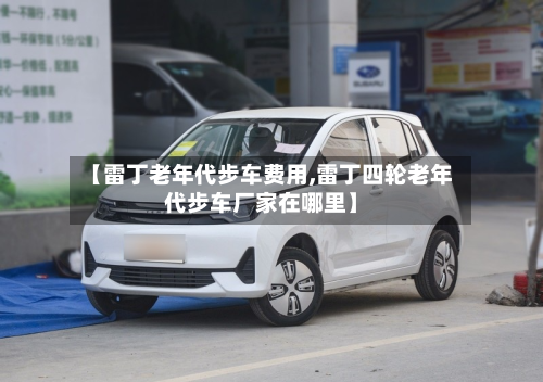 【雷丁老年代步车费用,雷丁四轮老年代步车厂家在哪里】