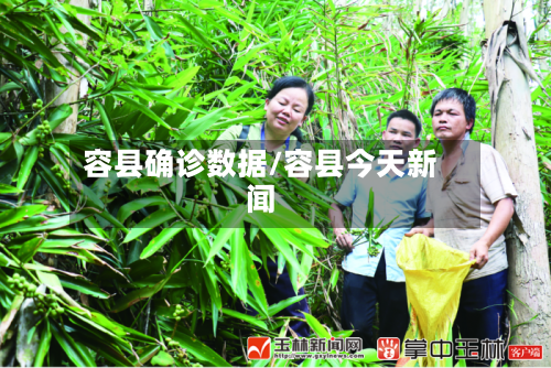 容县确诊数据/容县今天新闻