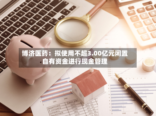 博济医药:拟使用不超3.00亿元闲置自有资金进行现金管理-第2张图片