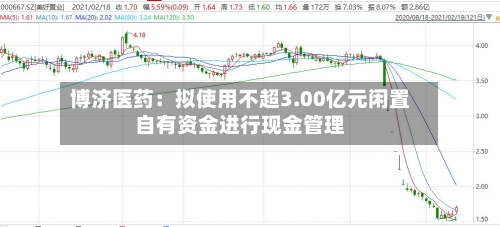 博济医药:拟使用不超3.00亿元闲置自有资金进行现金管理-第3张图片