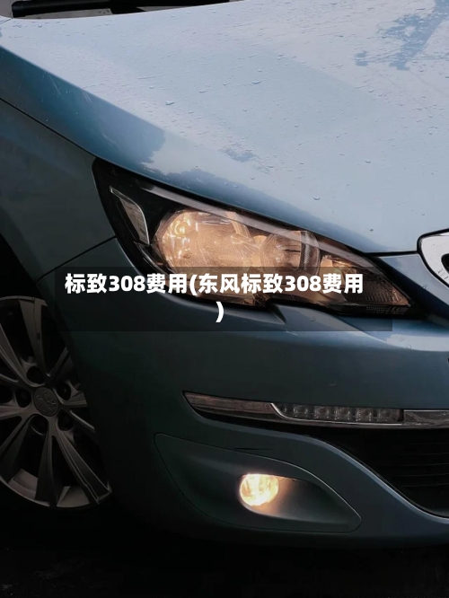 标致308费用(东风标致308费用)