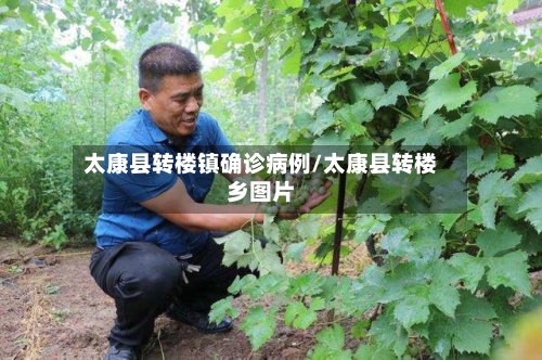 太康县转楼镇确诊病例/太康县转楼乡图片-第2张图片