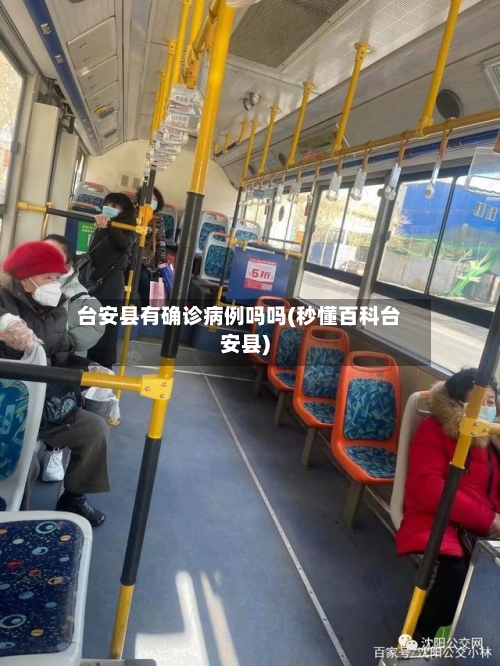 台安县有确诊病例吗吗(秒懂百科台安县)-第2张图片
