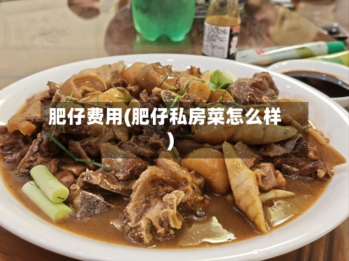 肥仔费用(肥仔私房菜怎么样)