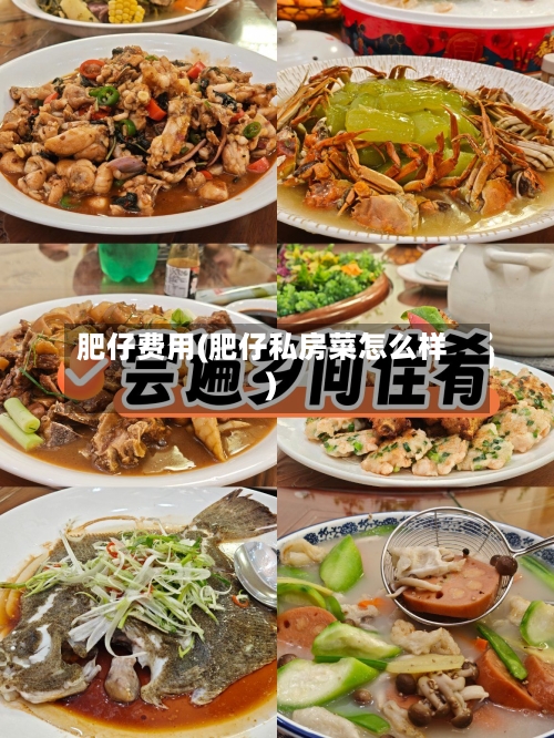 肥仔费用(肥仔私房菜怎么样)-第3张图片