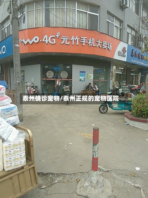 泰州确诊宠物/泰州正规的宠物医院
