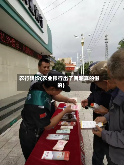 农行确诊(农业银行出了问题真的假的)-第2张图片
