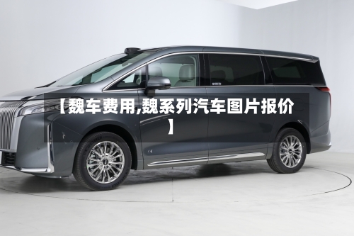 【魏车费用,魏系列汽车图片报价】-第2张图片