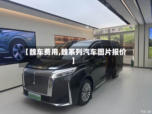 【魏车费用,魏系列汽车图片报价】-第3张图片