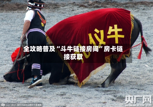 全攻略普及“斗牛链接房间	”房卡链接获取-第2张图片