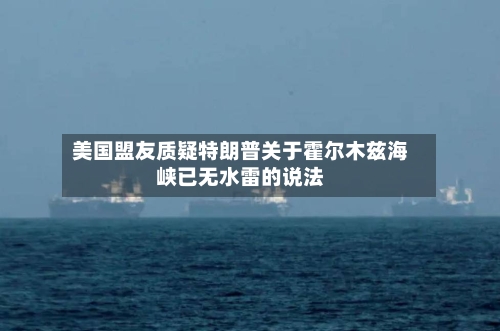 美国盟友质疑特朗普关于霍尔木兹海峡已无水雷的说法