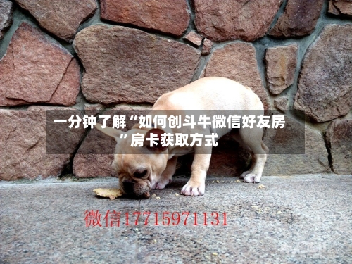 一分钟了解“如何创斗牛微信好友房”房卡获取方式