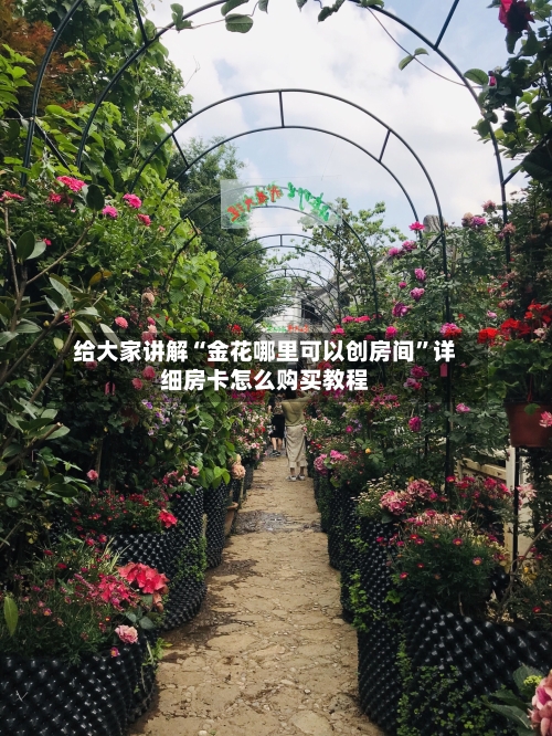 给大家讲解“金花哪里可以创房间”详细房卡怎么购买教程