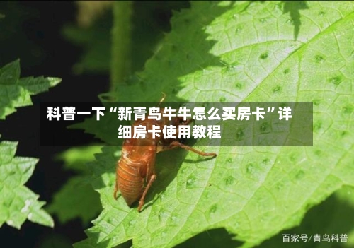 科普一下“新青鸟牛牛怎么买房卡”详细房卡使用教程-第2张图片