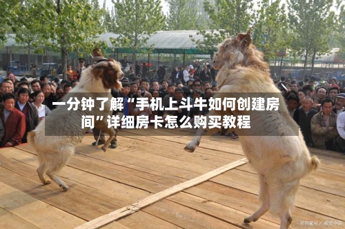 一分钟了解“手机上斗牛如何创建房间”详细房卡怎么购买教程