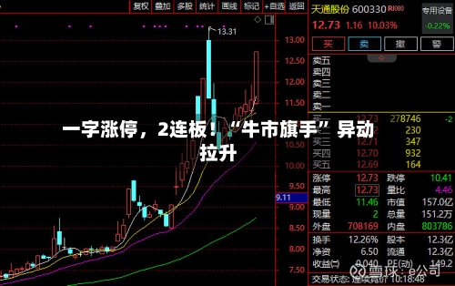一字涨停，2连板！“牛市旗手” 异动拉升-第3张图片