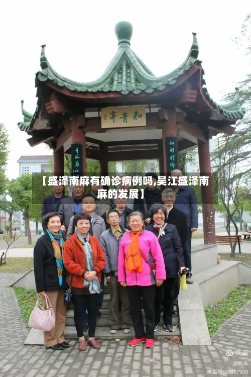 【盛泽南麻有确诊病例吗,吴江盛泽南麻的发展】-第2张图片