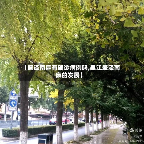 【盛泽南麻有确诊病例吗,吴江盛泽南麻的发展】