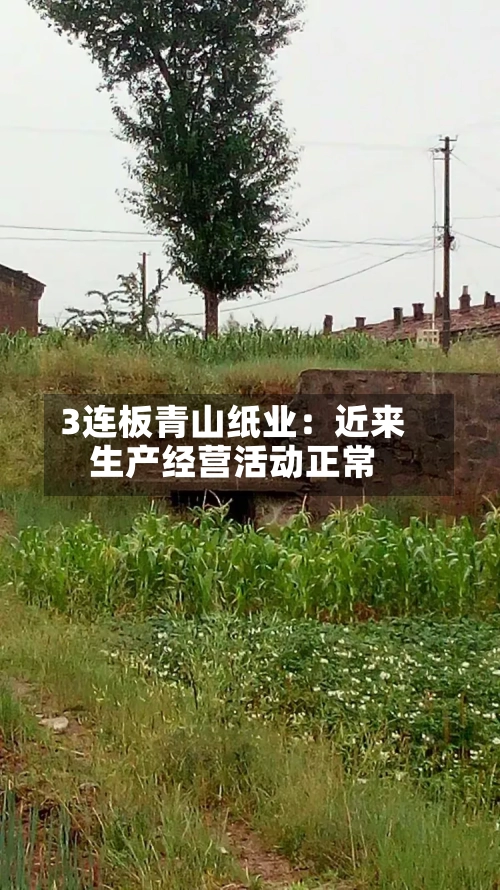 3连板青山纸业:近来
生产经营活动正常-第2张图片