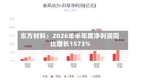 东方材料：2026年半年度净利润同比增长1573%-第3张图片