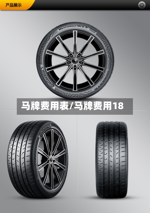 马牌费用表/马牌费用18