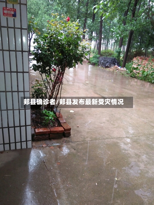郏县确诊者/郏县发布最新受灾情况
