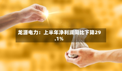 龙源电力:上半年净利润同比下降29.1%-第1张图片