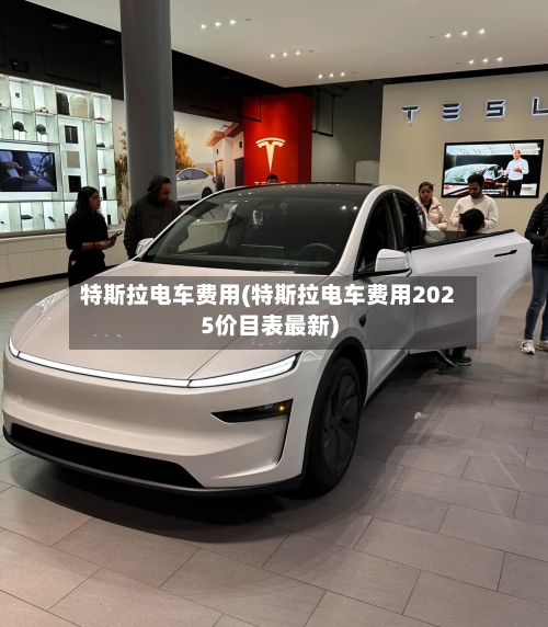 特斯拉电车费用(特斯拉电车费用2025价目表最新)