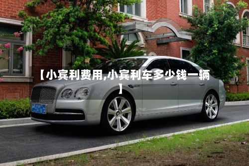 【小宾利费用,小宾利车多少钱一辆】
