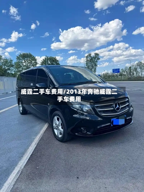 威霆二手车费用/2013年奔驰威霆二手车费用