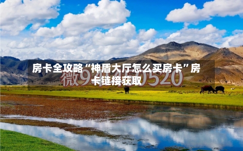 房卡全攻略“神盾大厅怎么买房卡”房卡链接获取-第3张图片