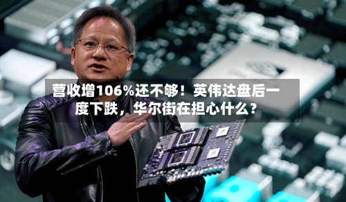 营收增106%还不够！英伟达盘后一度下跌，华尔街在担心什么？
