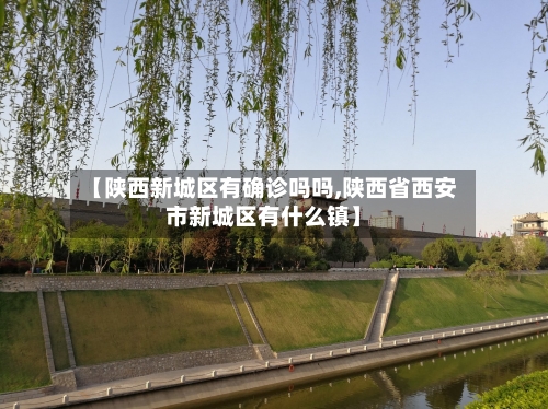 【陕西新城区有确诊吗吗,陕西省西安市新城区有什么镇】-第1张图片