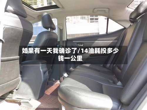 如果有一天我确诊了/14油耗投多少钱一公里