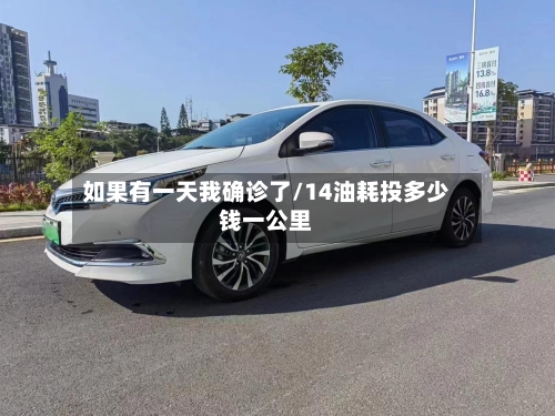 如果有一天我确诊了/14油耗投多少钱一公里-第2张图片