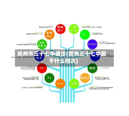 郑州市三十七中确诊(郑州三十七中属于什么档次)