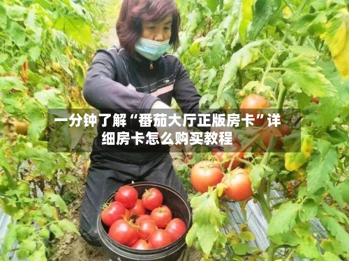 一分钟了解“番茄大厅正版房卡”详细房卡怎么购买教程-第2张图片
