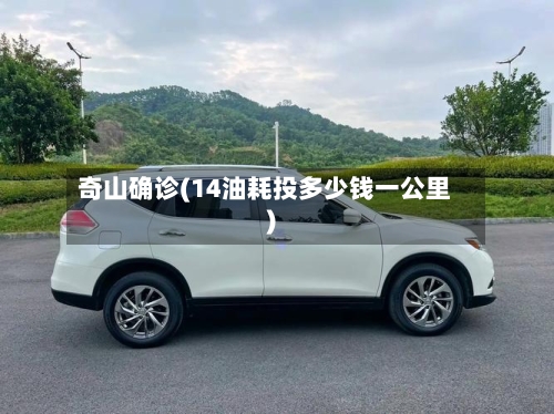 奇山确诊(14油耗投多少钱一公里)