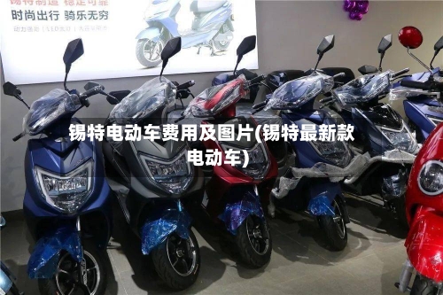 锡特电动车费用及图片(锡特最新款电动车)-第2张图片