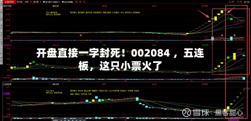 开盘直接一字封死！002084 ，五连板，这只小票火了-第2张图片