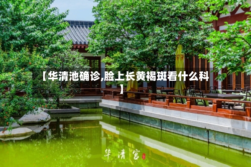 【华清池确诊,脸上长黄褐斑看什么科】-第2张图片
