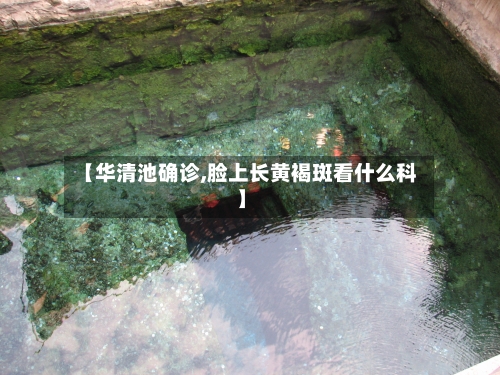【华清池确诊,脸上长黄褐斑看什么科】