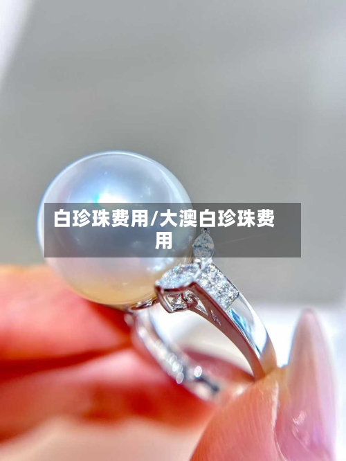 白珍珠费用/大澳白珍珠费用-第2张图片
