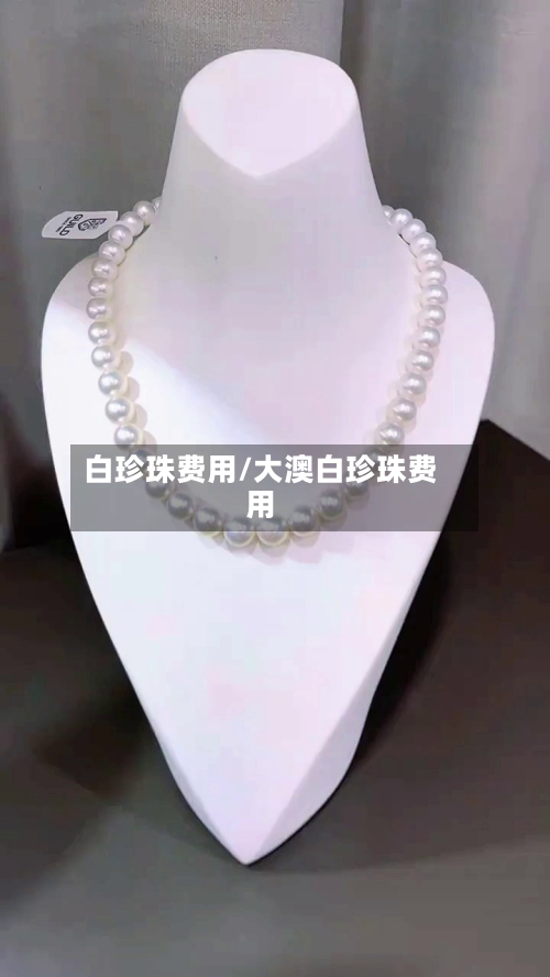 白珍珠费用/大澳白珍珠费用