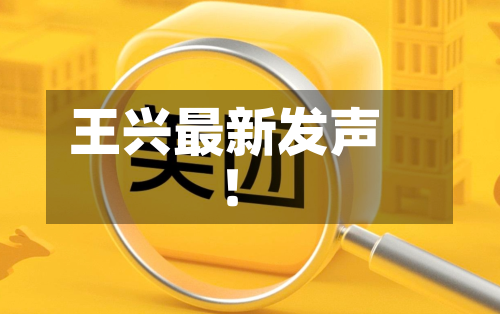 王兴最新发声！