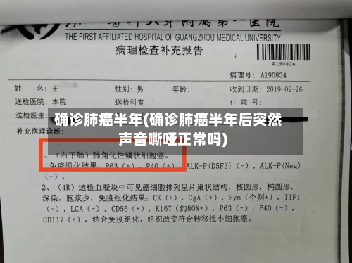 确诊肺癌半年(确诊肺癌半年后突然声音嘶哑正常吗)-第2张图片