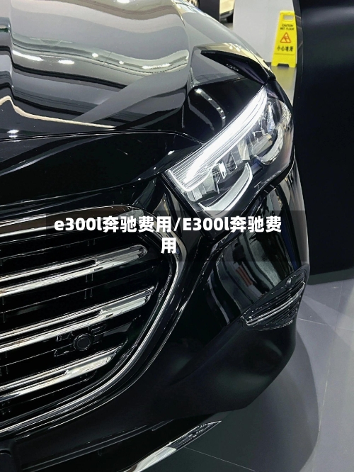 e300l奔驰费用/E300l奔驰费用