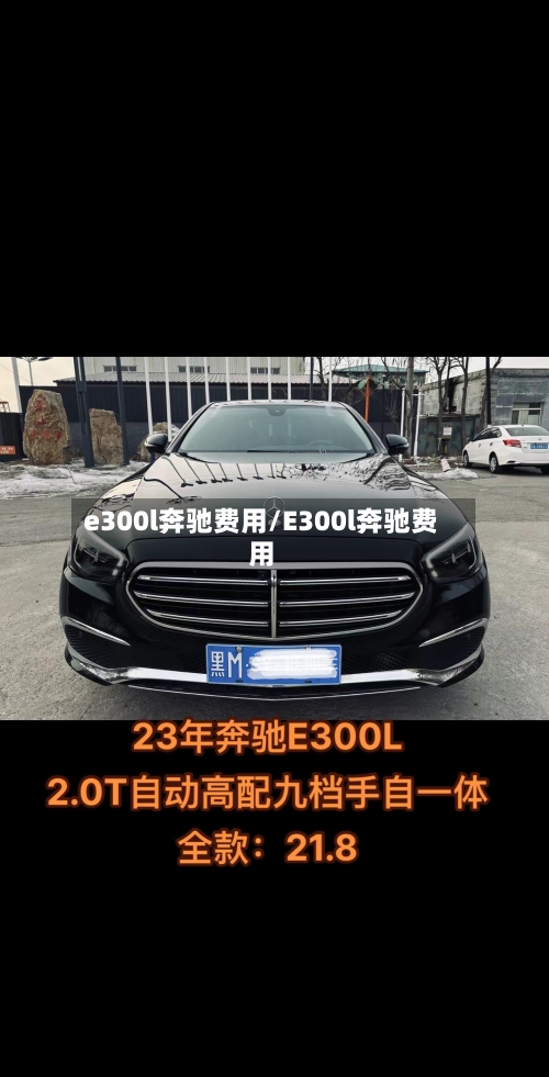 e300l奔驰费用/E300l奔驰费用-第2张图片