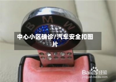中心小区确诊/汽车安全扣图片-第3张图片